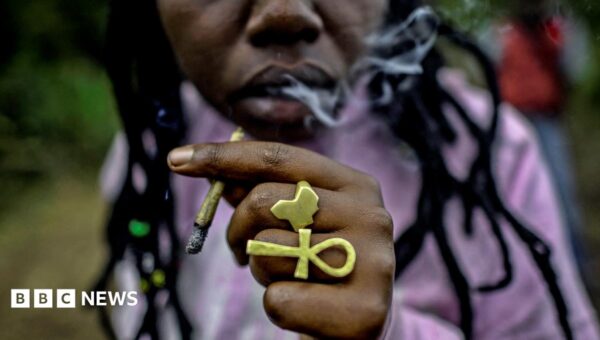 Rastafarians in Kenya fail in bid to get cannabis legalised for religious purposes