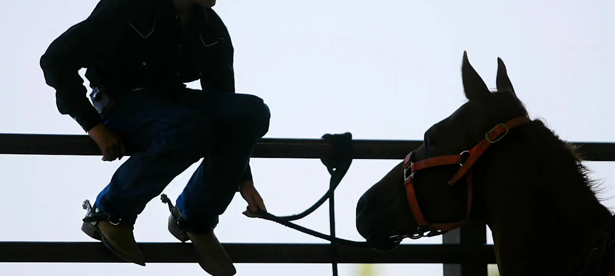 Youth horse world championship show is back in Oklahoma City. What to know