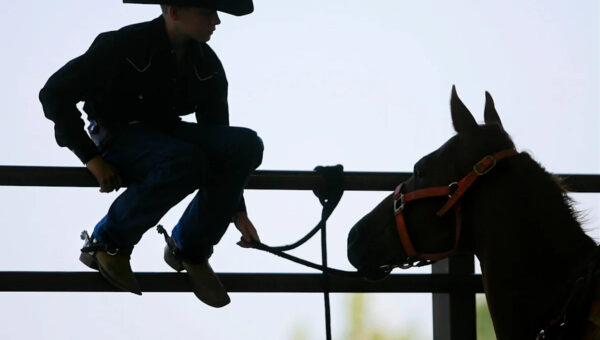 Youth horse world championship show is back in Oklahoma City. What to know