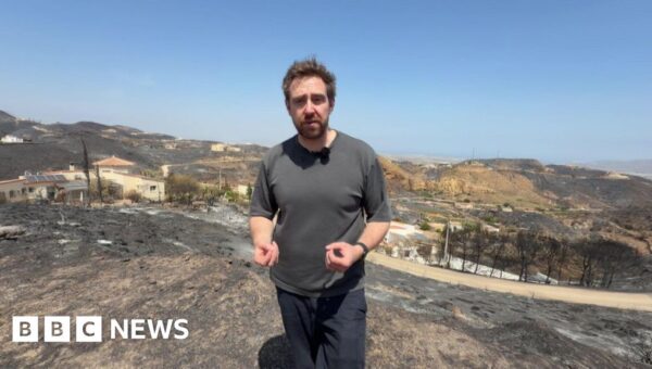 ‘This landscape is completely charred’: Inside the village at epicentre of Spain’s wildfires