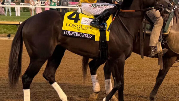 Counting Stars Shines In Run Towards Breeders Cup And Year End Honors