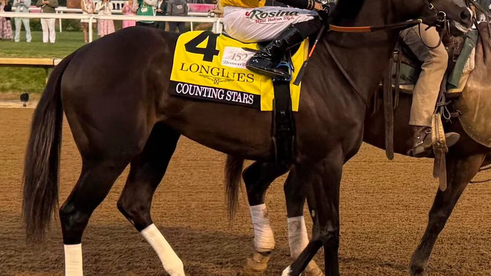 Counting Stars Shines In Run Towards Breeders Cup And Year End Honors