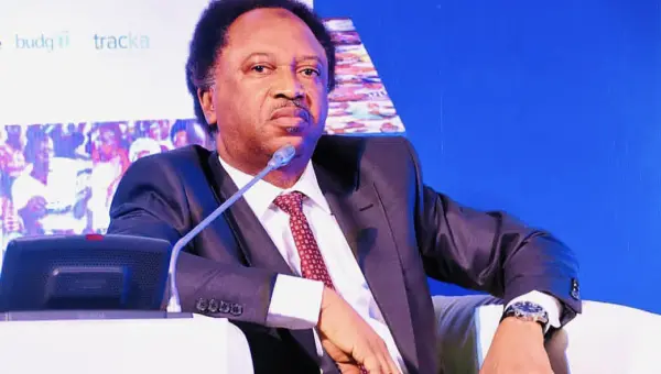 REA appointment: Fayose a grassroot politician – Shehu Sani