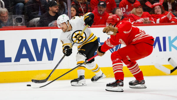 Red Wings' free agency fails to impress NHL experts