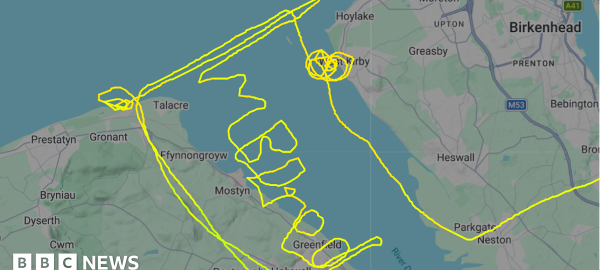 Pilot writes 'I'm bored' in sky during flight