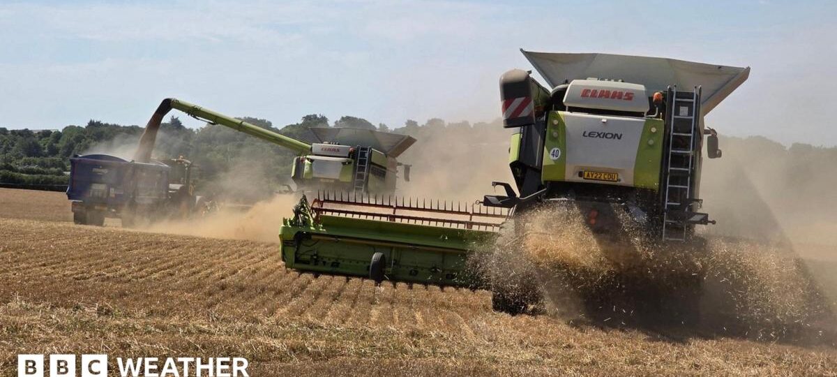 No significant rain forecast for at least a week as UK heatwave continues