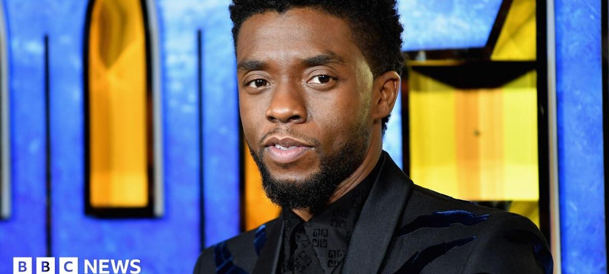 Black Panther star Chadwick Boseman's family in legal dispute with his widow