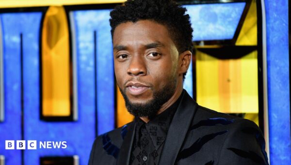Black Panther star Chadwick Boseman’s family in legal dispute with his widow