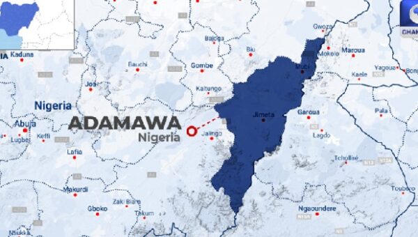 Adamawa Launches School Re-Entry Policy For Married Adolescents, Teen Mothers