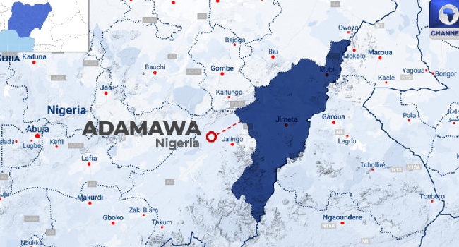 Adamawa Launches School Re-Entry Policy For Married Adolescents, Teen Mothers