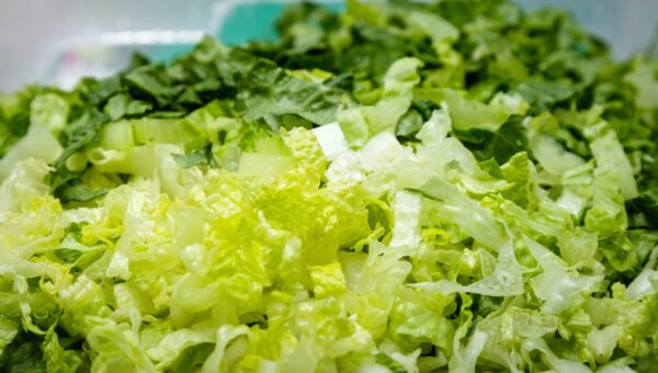 The FDA named a source of the diarrhea parasite outbreak. The saga isn’t over.