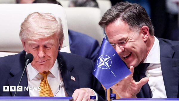 Nato chief tells BBC that Trump comments are like ‘family argument’