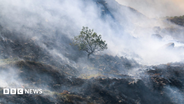 Wildfire burning one month on is ‘the size of a small town’
