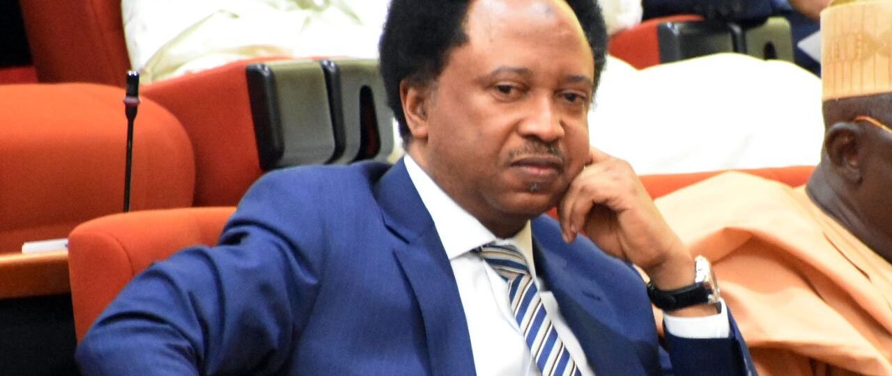 ‘Hell no’ — Atiku’s aide slams Shehu Sani over comment on ADC court victory