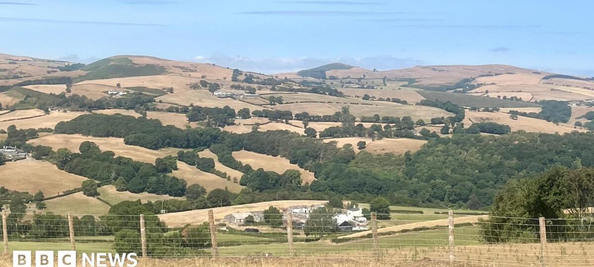 Wildfires and record dry conditions trigger drought in parts of Wales