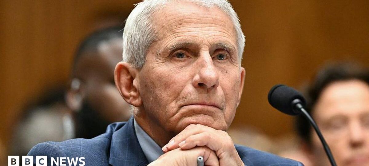Anthony Fauci refuses to answer questions during US Senate hearing about Covid origins