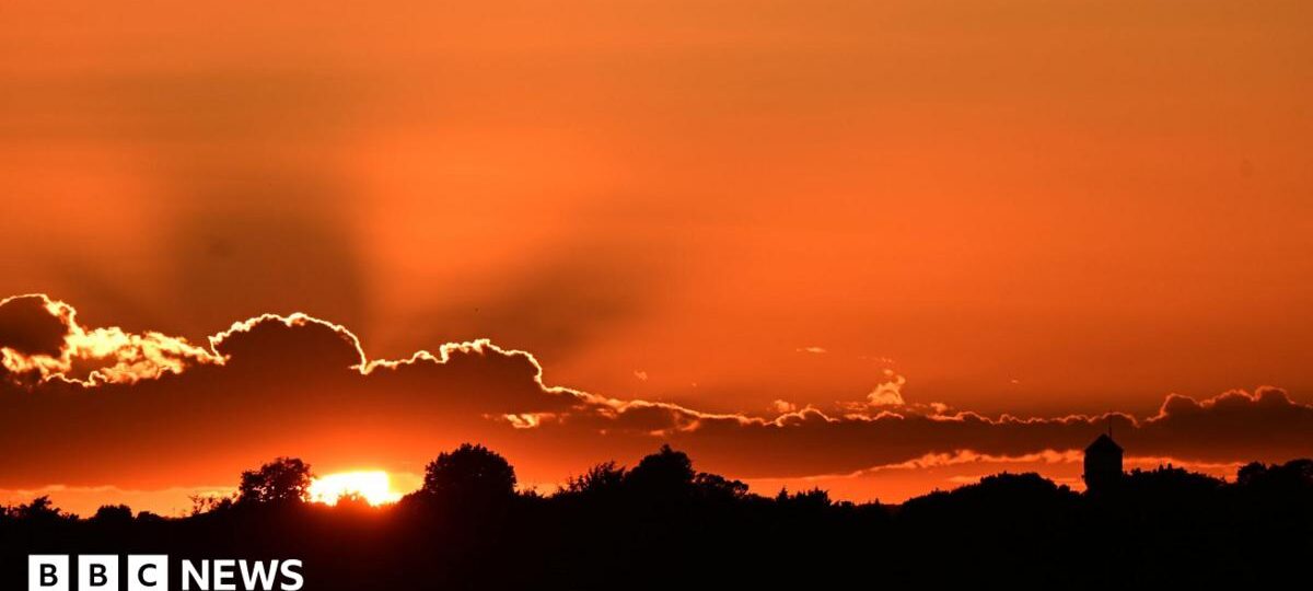 Thousands may have died in UK's exceptional May and June heatwaves