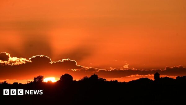 Thousands may have died in UK’s exceptional May and June heatwaves