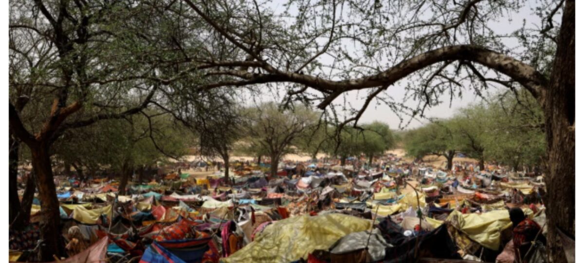 Sudan crisis: Human Rights Watch demand action on UAE involvement