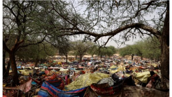 Sudan crisis: Human Rights Watch demand action on UAE involvement