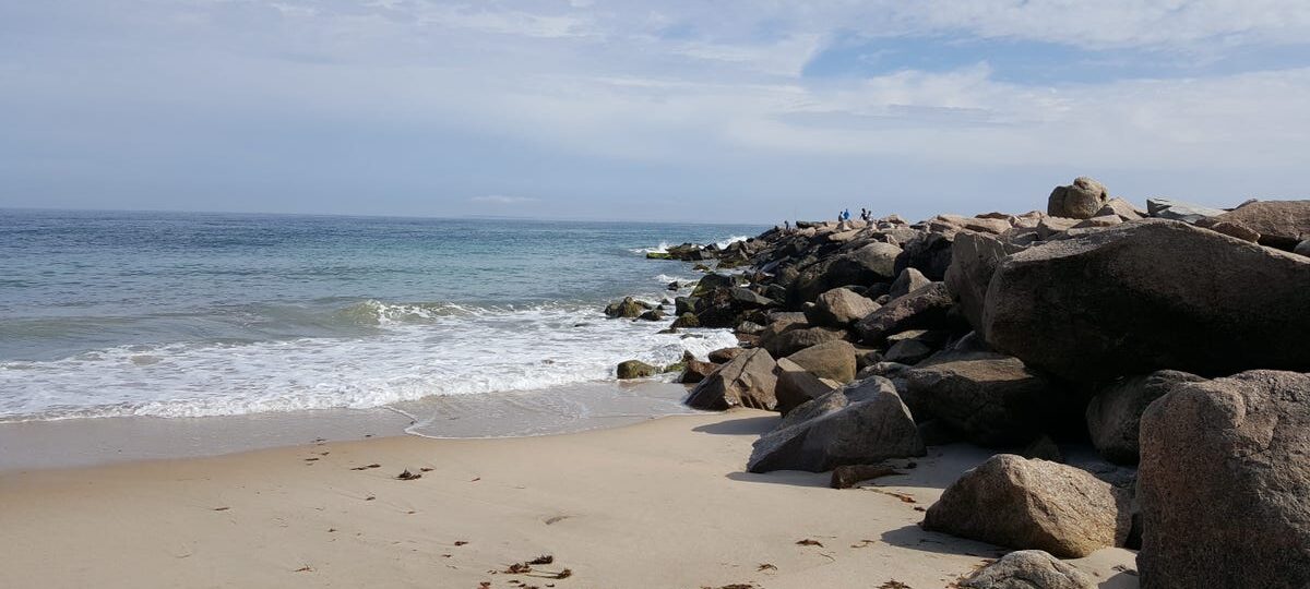 I live in Rhode Island. My favorite town to visit in the summer has great seafood, quiet beaches, and a bamboo forest.