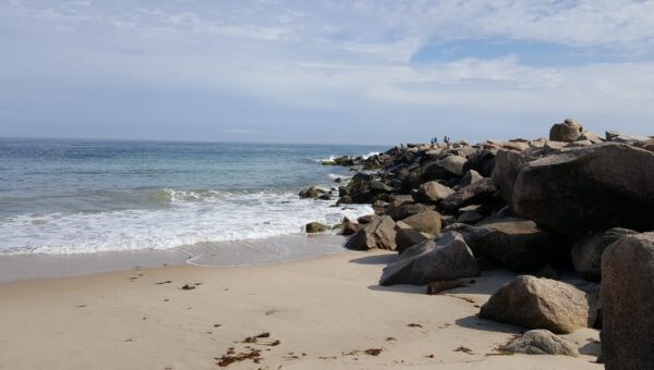 I live in Rhode Island. My favorite town to visit in the summer has great seafood, quiet beaches, and a bamboo forest.