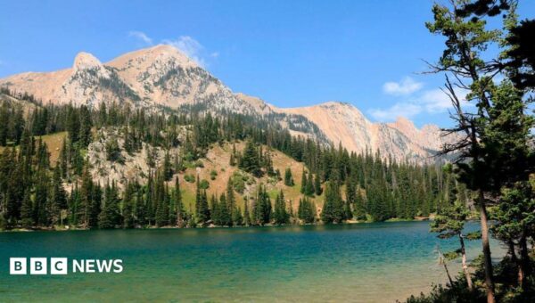 Private jets flock to Montana – but locals can’t afford the trailer park