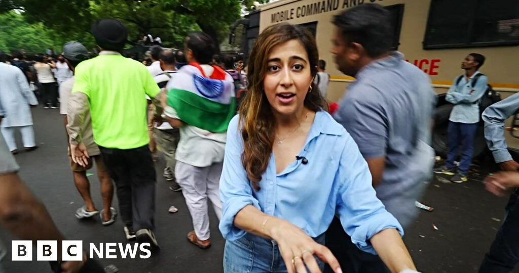 From hundreds to thousands: How India's 'cockroach' protest movement has grown