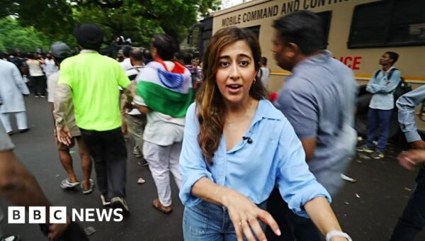 From hundreds to thousands: How India’s ‘cockroach’ protest movement has grown