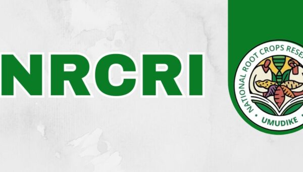 National Root Crops Research Institute Umudike Abia State Announces Implementation of 2026 Procurement Activities
