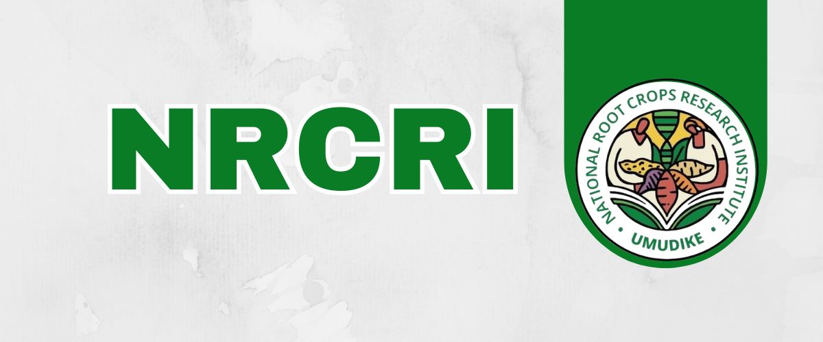 National Root Crops Research Institute Umudike Abia State Announces Implementation of 2026 Procurement Activities