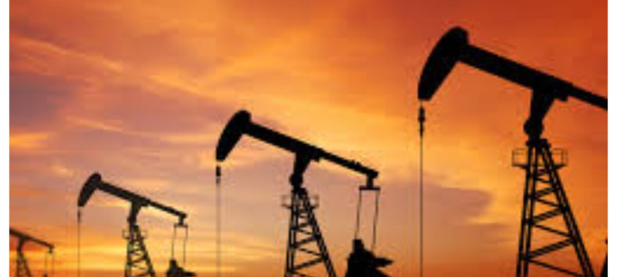 Full list: 31 firms win 37 oil, gas blocks license