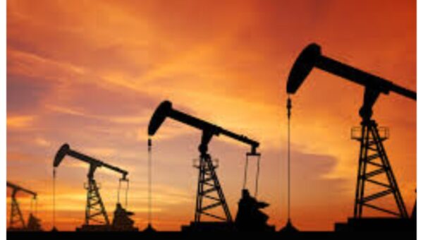 Full list: 31 firms win 37 oil, gas blocks license