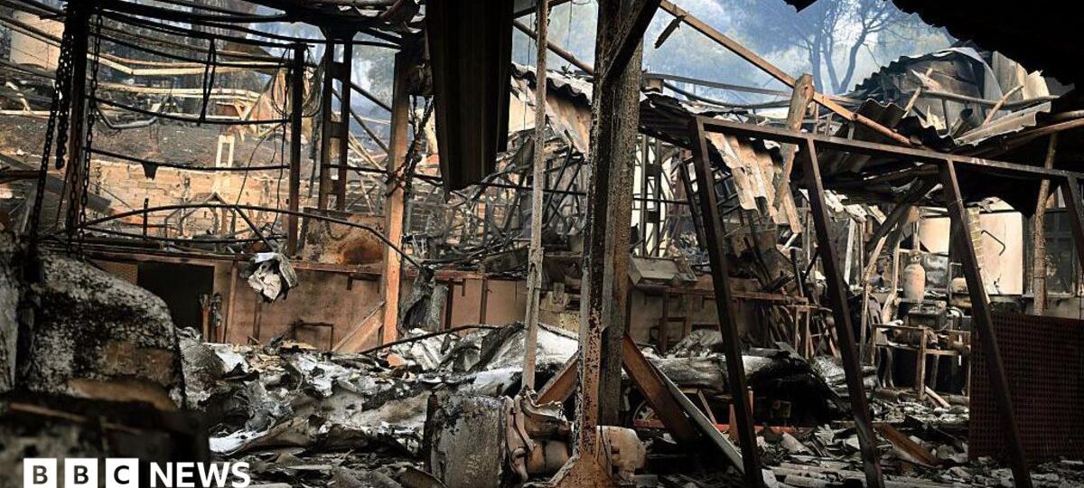 'It's a hell of a situation': Spain grapples with destructive wildfires
