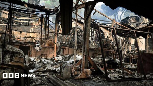 ‘It’s a hell of a situation’: Spain grapples with destructive wildfires