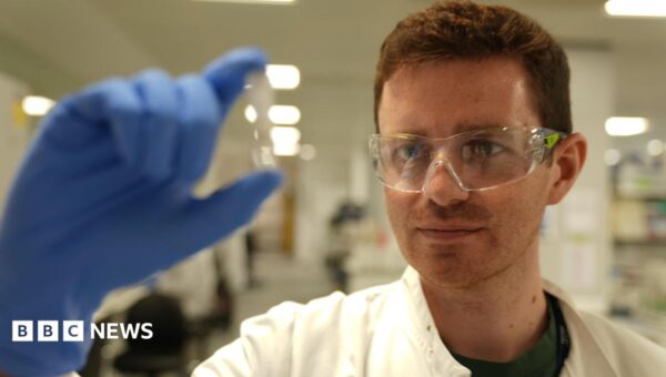 UK begins trials of Ebola vaccine developed in just eight weeks