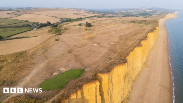 More than half of England officially in drought, Environment Agency says