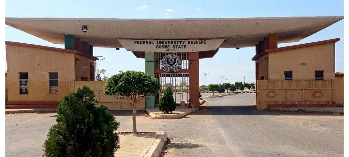 Student representation must be through ballot, not appointment – NANS warns FUK