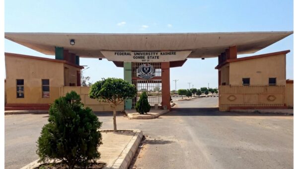 Student representation must be through ballot, not appointment – NANS warns FUK