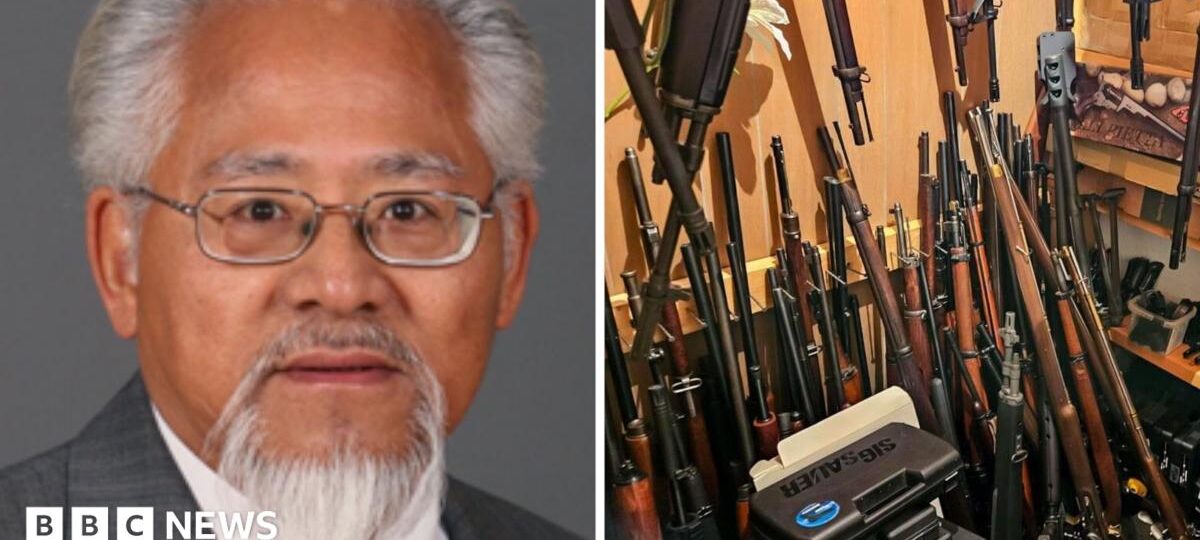 Ex-Canada MP arrested after police seize 439 guns and antique cannon from his home