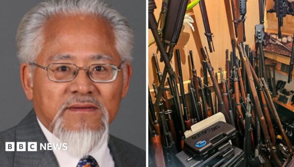 Ex-Canada MP arrested after police seize 439 guns and antique cannon from his home