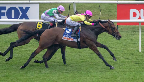 Kathynmarissa extends Chad Brown’s dominance in Saratoga’s Diana Stakes