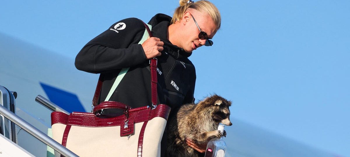 Norway's Erling Haaland brought a $750 taxidermy raccoon home from the World Cup