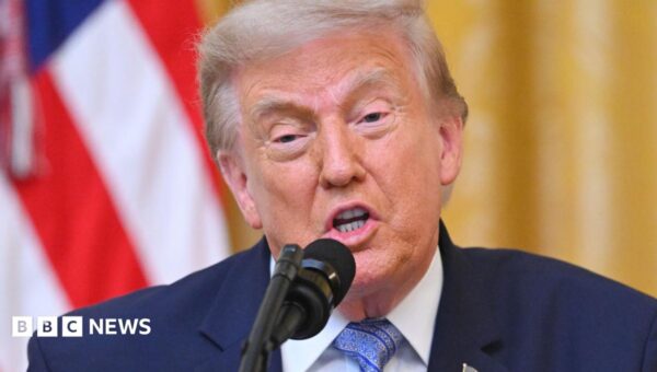 Trump alleges ‘shocking vulnerabilities’ in US election security ahead of midterms
