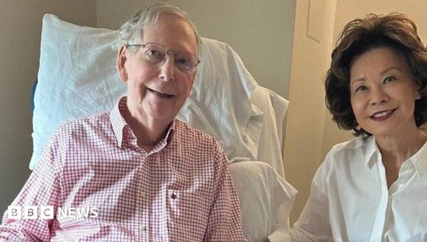 US Senator Mitch McConnell says absence due to fall and pneumonia