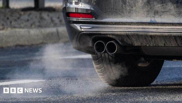 Major car firms found not to have installed emissions-cheating devices
