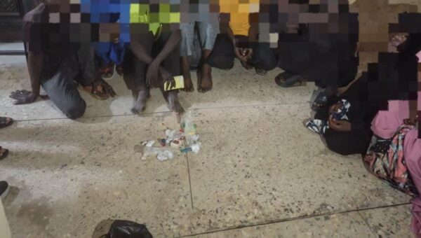 Police raid criminal black spots, arrest 63 suspects, recover illicit drugs in Yobe