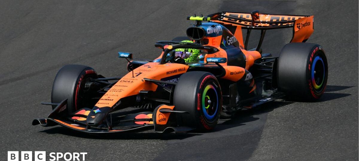 Norris beats Hamilton to Hungary pole