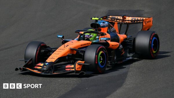 Norris beats Hamilton to Hungary pole
