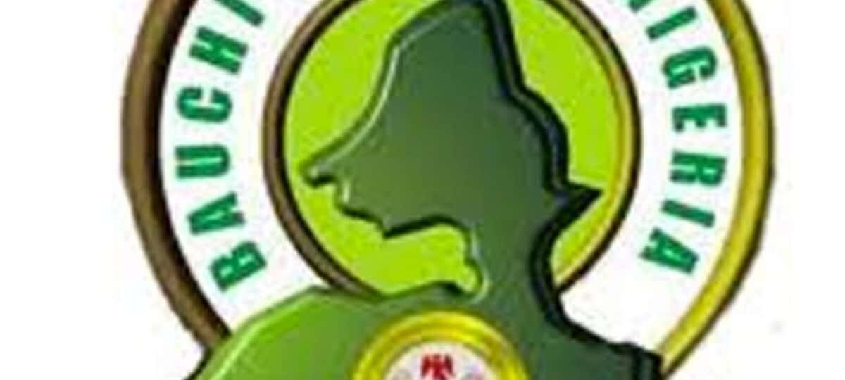 Bauchi govt dissolves Wikki Tourist management after relegation, appoints sole administrator
